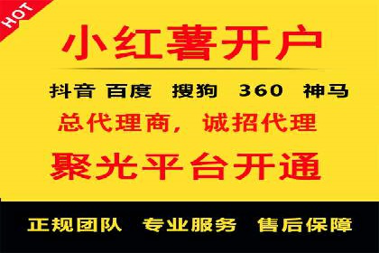 百度推广中的创意策略：成功案例解析与启示